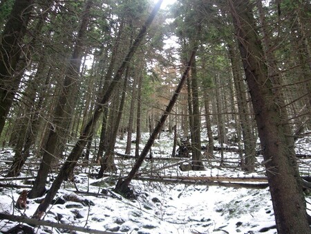 Správa Krkonošského národního parku (KRNAP) chce omezit nelegální provoz aut na vybraných horských cestách v první a druhé zóně parku.