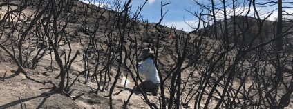 Foto: Sydney Glassman / Kalifornská univerzita v Riverside