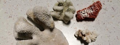 Foto: Celní správa