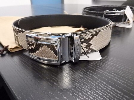 Středočeští celníci zadrželi zásilku, ve které našli tři opasky z hada a krokodýla. Nelegální dovoz zboží odhalili celníci při kontrole zásilky z Thajska. Opasky našli v zásilce, která byla adresovaná do České republiky.