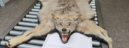 foto: Celní správa