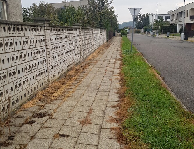 Zákaz používání glyfosátu se už delší dobu snaží prosadit prostějovská opozice. / Ilustrační foto