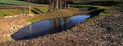 Na Knínickém potoce vznikly nové tůně a mokřady Foto: Povodí Moravy