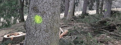 foto: www.jesenik.org