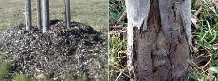 Foto: Archiv Jana Jaňourová