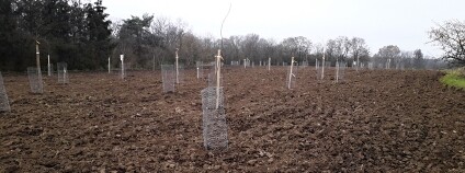 Foto: Archiv Evy Tylové