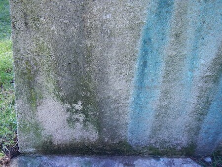 Vědci z Botanického ústavu Akademie věd během výzkumu zámeckých parků vyvinuli dvě technologické novinky, které pomáhají chránit památky zahradního umění před řasami a sinicemi. / Na snímku biokoroze způsobená mikroorganismy