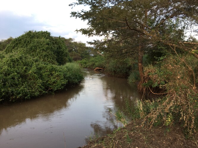Josef Vágner říčku tekoucí podél tábora ve svých knížkách důsledně označoval jako Greek river, jinde se však takový název neobjevuje. Místní totiž říčce říkají Kiriki