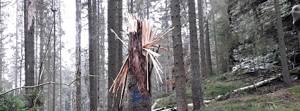 Foto: Tomáš Salov / Národní park České Švýcarsko