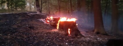 Foto: Arcibiskupské lesy a statky Olomouc s.r.o.