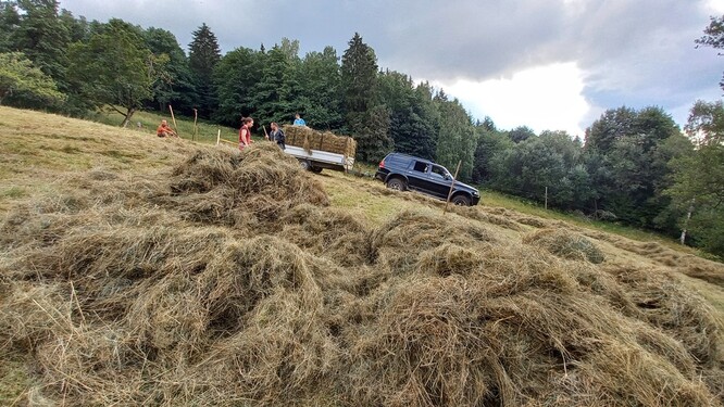 Dobrovolnické kosení Sjezdovky.