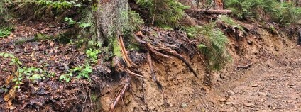 Foto: Přírodovědecká fakulta Univerztity Karlovy