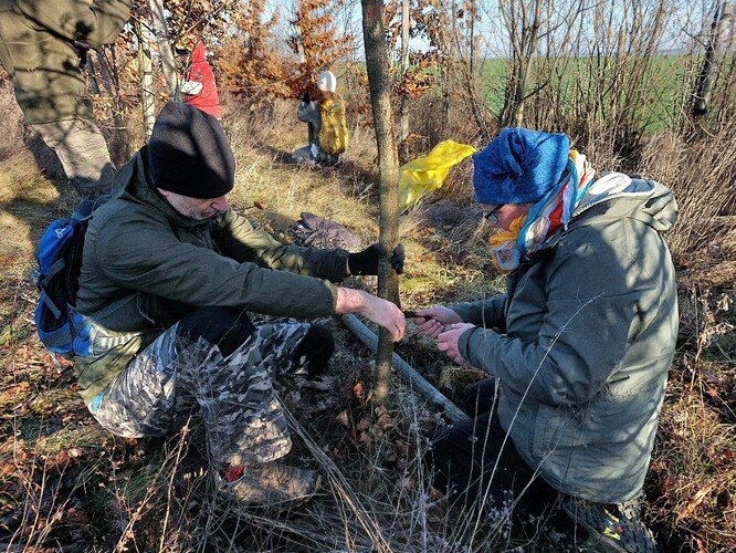 Jeden drží kmen, druhý táhne za úvaz.