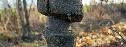 Foto: Ondřej Kořínek / spolek Pro krajinu Středního Polabí