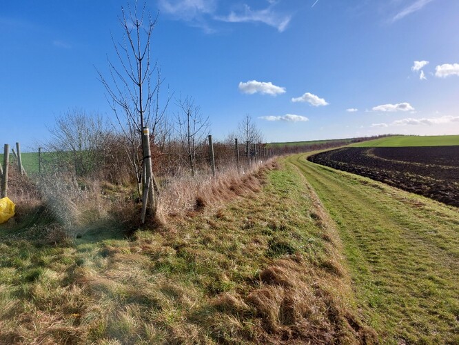 Biokoridory jsou potřeba.