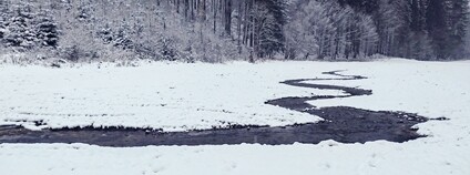 Lesy ČR dokončily obnovu Ospirského potoka Foto: Lesy ČR