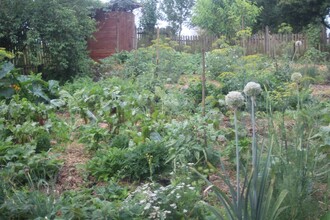 Ve vedlejší vesnici Szuhafő jsme navštívili zelinářskou zahradu pana Gyulaie. Tam nám vysvětlil svoji metodu hlubokého mulčování a ukázal své výpěstky.