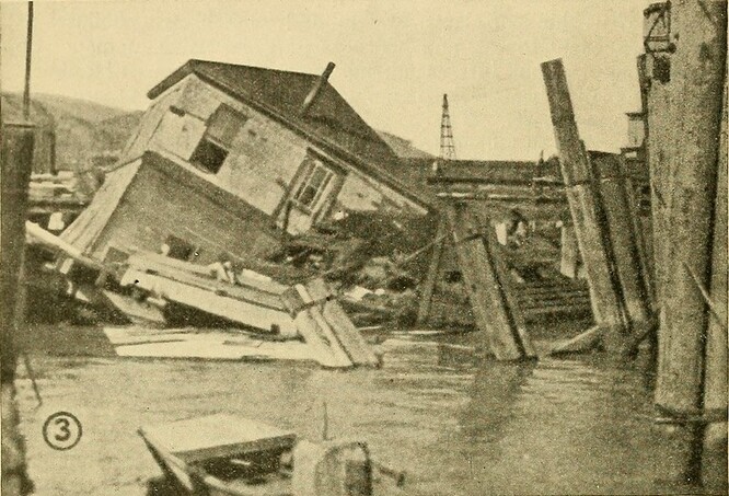 „Ze zprávy o průzkumu mořských pilířů v zálivu San Francisco za rok 1921 se dozvídáme, že evropský lodní červ (Teredo navalis) byl v zálivu San Francisco poprvé objeven v roce 1914 A. L. Barrowsem. Po následujících pět let způsoboval jen malé škody, ale náhle v roce 1920, v souběhu s obdobím neobvykle nízkých srážek, se útoky tohoto měkkýše rozšířily po velké části zálivu San Francisco. Než si majitelé všimli problému, tito živočichové zcela prokousali pilíře mnoha mol, terminálů a dalších námořních staveb na úrovni bahenního dna. Opatrný odhad škod způsobených v letech 1920 a 1921 pouze v sanfranciských vodách, na základě nákladů na opravy a náhrady, které si tyto útoky vyžádaly, překračuje 15 000 000 USD,“ píše se v dobové publikaci.