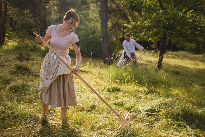 Rezekvítek v Brně a okolí pečuje o vzácné lokality, například o koniklecovou louku na brněnském Kamenném vrchu.