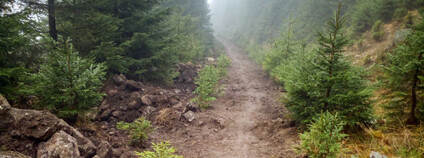 Foto: archiv Správy KRNAP