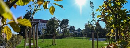 Nový park Kadetka na Kraví hoře v Brně Foto: M. Schmerková Brno.cz