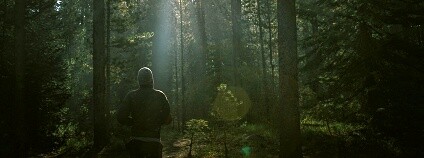 Foto: Tanay Mondal / Flickr