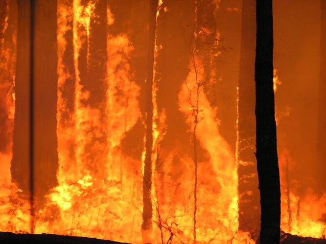 Požár, ilustrační snímek.