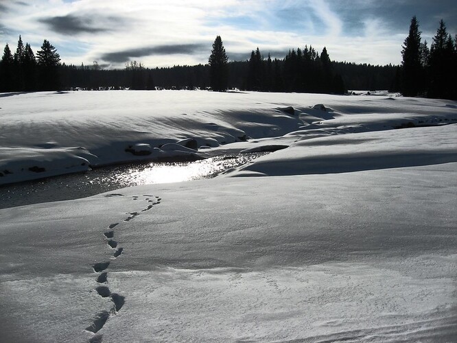 Modrava na Šumavě v zimním hávu.