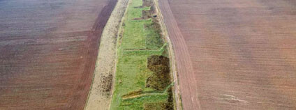 Foto: Martina Jurová / Floro