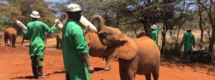 Foto: Jan Stejskal / Safari park Dvůr Králové