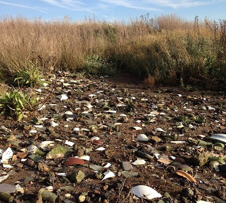 Velká Británie řeší nemalý problém se skládkami odpadů. Řada zařízení určených k ukládání odpadů, těch v provozu nebo již uzavřených, se totiž nachází v těsné blízkosti moře.