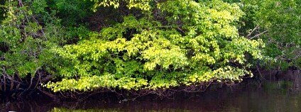 Foto: Marianne Serra / Flickr