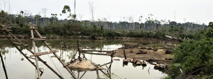 Foto: Melissa Marchese