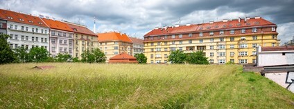 Rozkvetlé a pestré vodojemy. Foto: Vojta Herout Nadace Partnerství