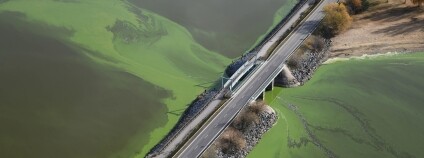 Foto:  Lipensko pro život