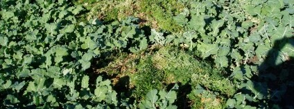 Foto: Archiv firmy VIN agro