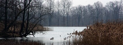 Foto: Donald Judge Flickr