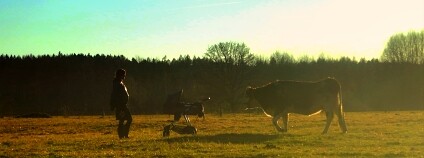 Foto: Matouš Horák