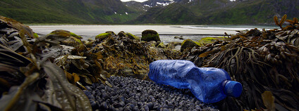 Foto: Bo Eide / Flickr