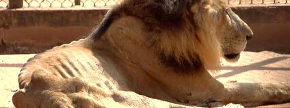 foto: Raul Julia Levy