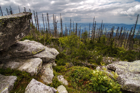 Šumava, Třístoličník.