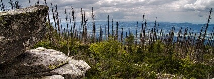 Foto: Petr Meissner / Flickr