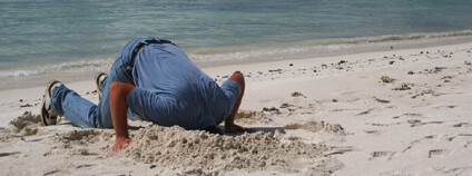 Foto: Peter / Flickr