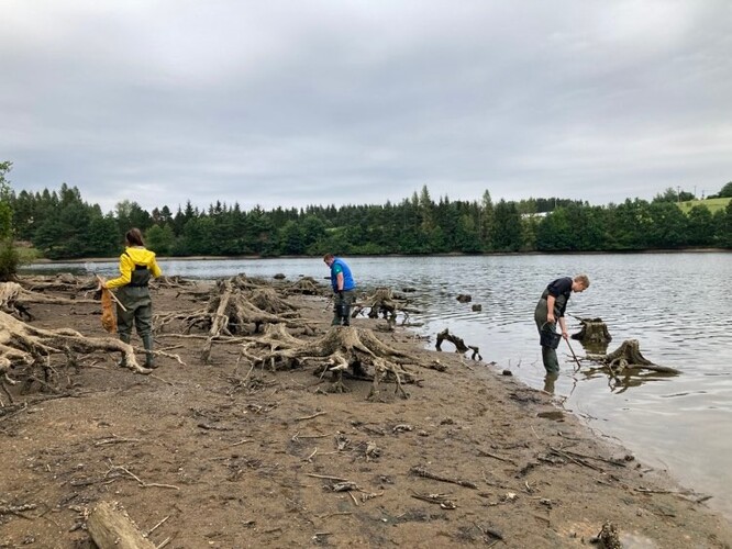 Škeble rybničná. Ilustrační foto