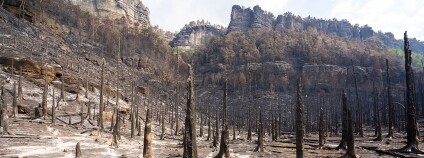 Foto: Václav Sojka / Národní park České Švýcarsko