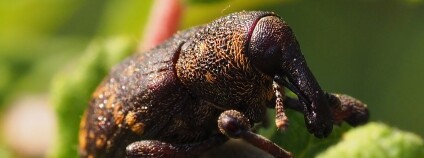 Foto: Michael Mueller / Flickr