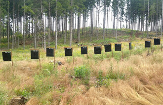 Ochranná opatření proti kůrovcům – feromonové lapače.