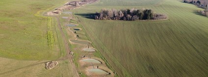 Na Tachovsku vytvořily Lesy ČR soustavu tůní Foto: Lesy ČR
