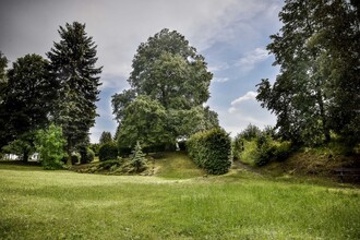 Rtyňská lípa svobody.