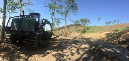 Cena lesních pozemků kvůli kůrovcové kalamitě klesá, ačkoliv odhaduji, že jejich hodnota bude v horizontu 10let daleko vyšší, než je dnes díky strategickým surovinám - vodě, dřevu a funkcím lesů.